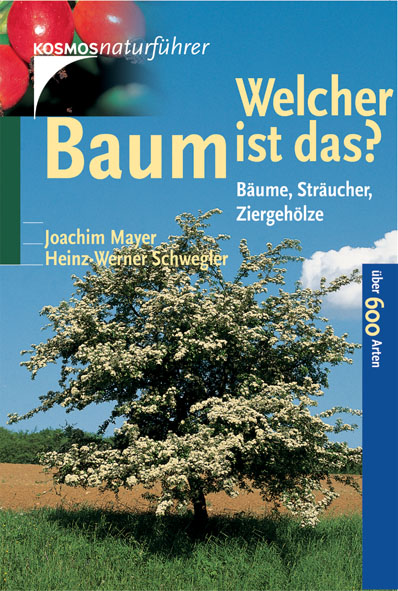 LIT: Welcher Baum ist das